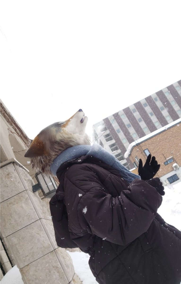 小樽から
遠吠えに乗せてあなたに暖かい愛をお届け💙