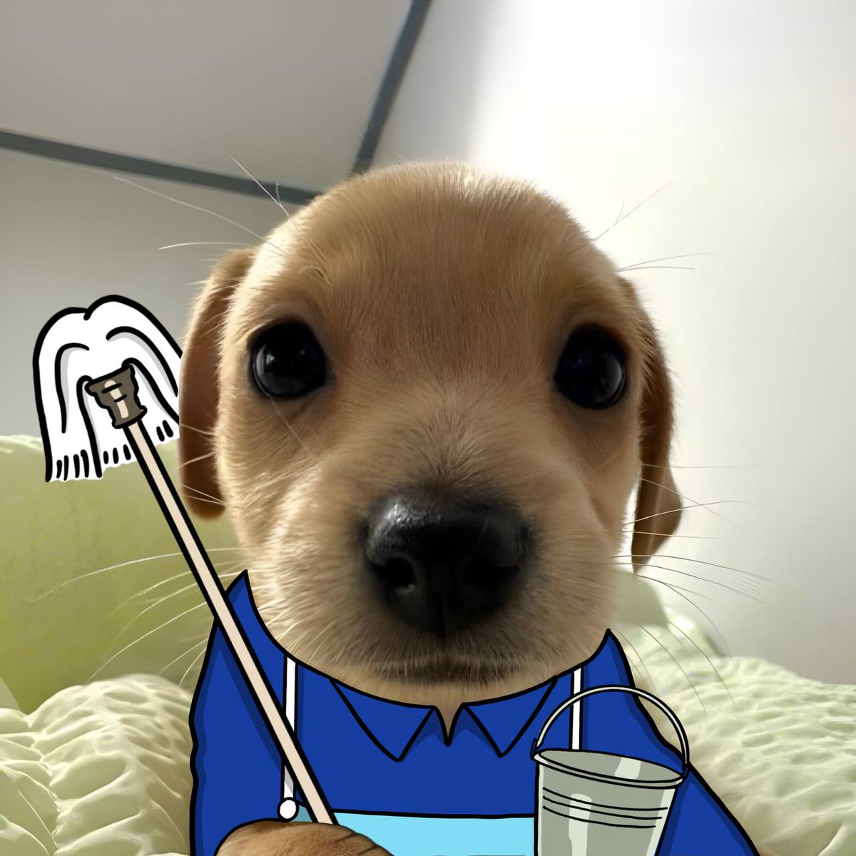 billycoin4ever's tweet image. it's time to clean up these spaces and bring ogs back