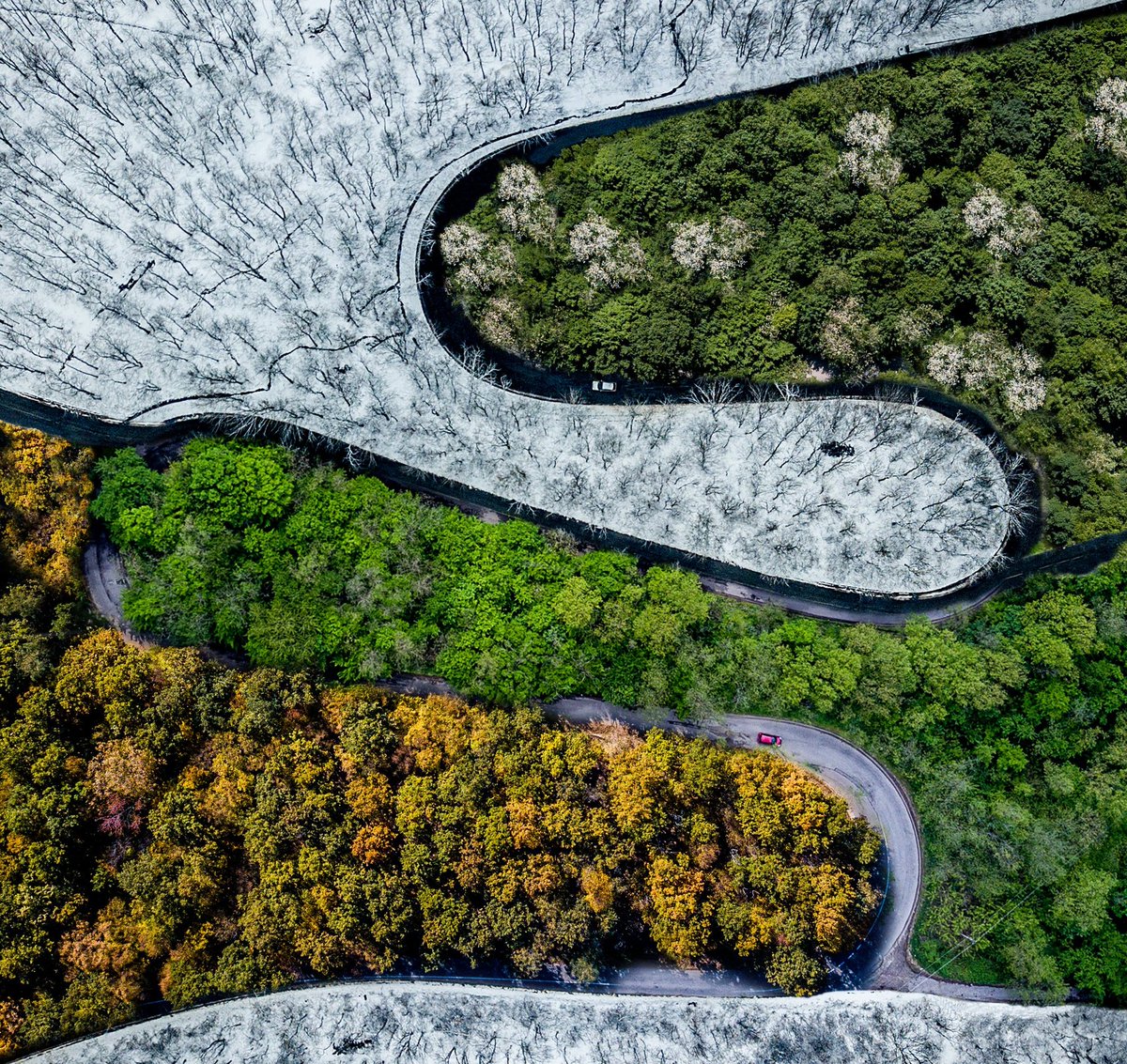 SeedPhoto's tweet photo. 💰🤩PARTICIPATE TO WIN🎉: How many gold medals has the artwork titled "Five Seasons " won?📸🥇

🌐🔗Visit our https://t.co/QL1IRGNsrJ website to find this photo, like it, and type your answer in the comment section and your BEP20 MetaMask or Trust Wallet address for a chance to win https://t.co/QL1IRGNsrJ Tokens!✨💵

#SeedPhoto #NFT #NFTCommunity #Photography #SeedPhotoToken #Competition #Win