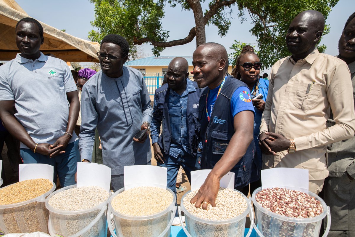 FAOSouthSudan's tweet photo. 🙏 to funding from @NorwayinSSudan, @FAO has inaugurated an aggregation center at the #Agricultural exhibition in Wulu County! 🏡

This center will support community farmer groups with storage, processing space &amp; training, boosting agrifood systems &amp; resilient livelihoods in 🇸🇸 https://t.co/kgGJK9d3K6