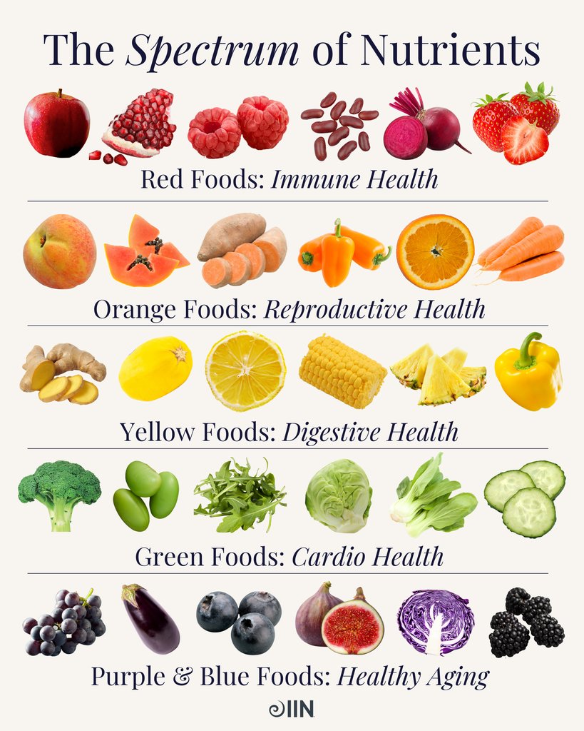 Dive into the nutrition science on how a colorful diet supports vibrant health in The Health Coach Training Program. 🌈 You can learn more about our curriculum and world-renowned faculty in our Curriculum Guide! ⁠
⁠
💡 Download the Curriculum Guide: tinyurl.com/4nmtpu7a