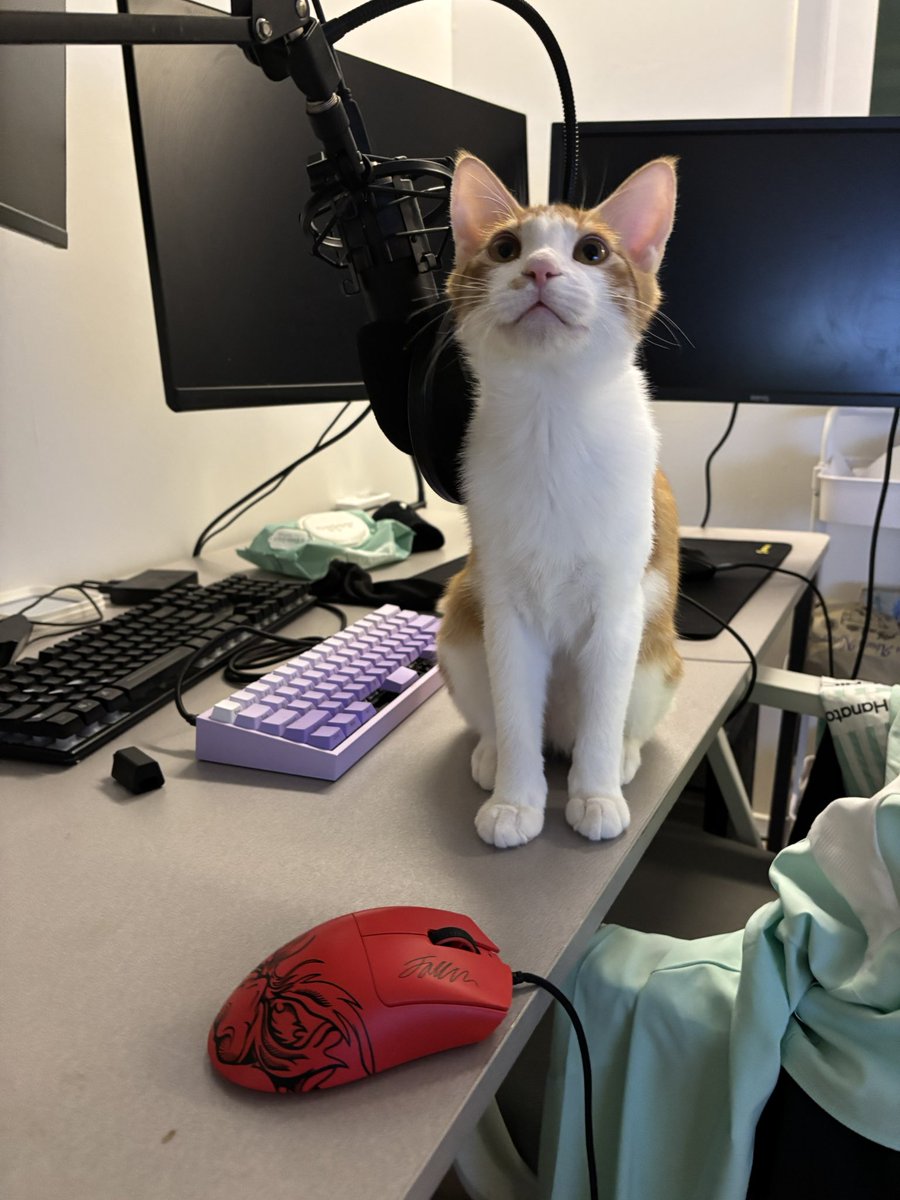 pluto_0h's tweet image. 엄마 이거 떨어뜨려도돼????