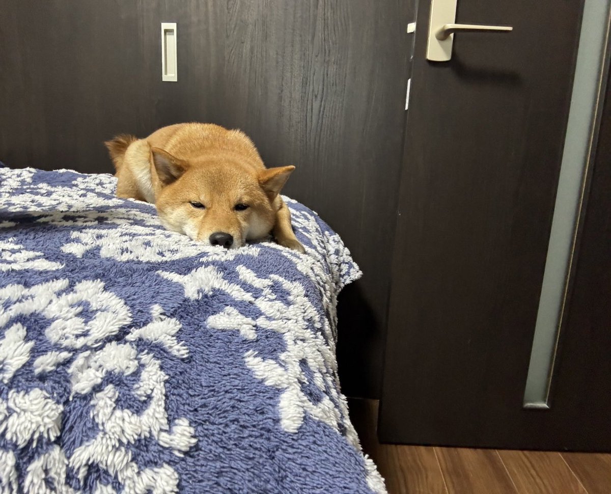 chi1030ro's tweet photo. 僕は見てるよ https://t.co/TM2Fe7iDQr