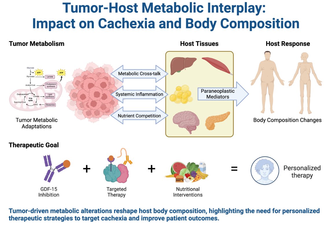 AJP-Cell Physiology (@ajpcellphys) on Twitter photo Today's #ArticleinPress involves some fascinating research about #Cancer and the #Metabolism thanks to an author from <a href="/Charb_Cancer/">Charbonneau Cancer Institute</a>, Tumor Metabolism as a Factor Affecting Diversity in Cancer Cachexia (Oliver F. Bathe):
ow.ly/NATH50V2Z4K Today's #ArticleinPress involves some fascinating research about #Cancer and the #Metabolism thanks to an author from <a href="/Charb_Cancer/">Charbonneau Cancer Institute</a>, Tumor Metabolism as a Factor Affecting Diversity in Cancer Cachexia (Oliver F. Bathe):
ow.ly/NATH50V2Z4K