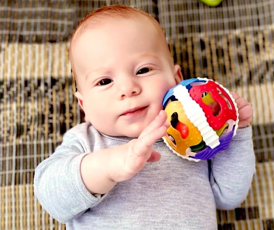 Vivid.🇮🇱 tweet media