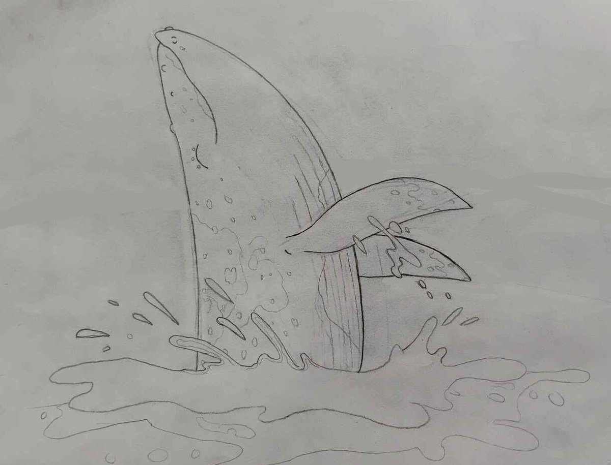 I know I'm days late, but to celebrate #worldwhaleday I sketched my character Rūrutu doing a celebratory breach
#whale #cetacean #bluewhale #humpbackwhale #bluehumpwhale #originalcharacter #sketch #conceptart