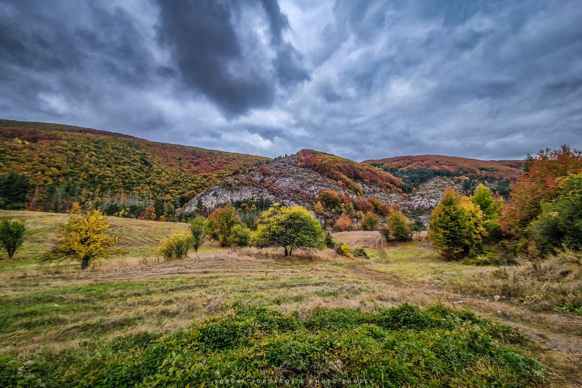 YYPhotoShots's tweet photo. Echoes of the Wild

Where the wind whispers through golden fields,
and the hills wear the colors of autumn’s touch.
Where the sky, heavy with untold stories,
meets the land in a quiet embrace.

This is nature in its rawest form - untamed, fleeting, breathtaking. https://t.co/rrMBTrZKcs