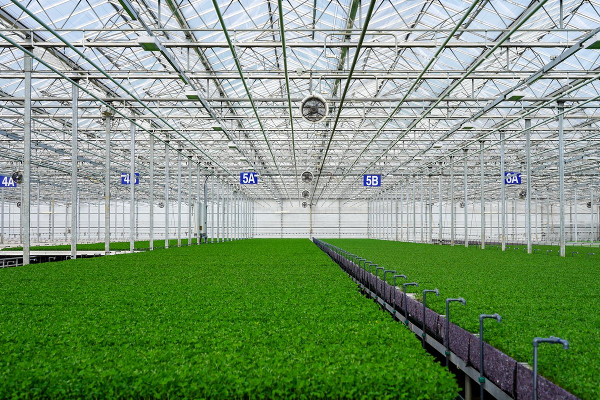 It was fantastic to visit one of our local growers, Westlands UK in Offenham, Worcestershire—less than 5 miles from our Evesham Depot!

#MicroHerbs #EdibleFlowers