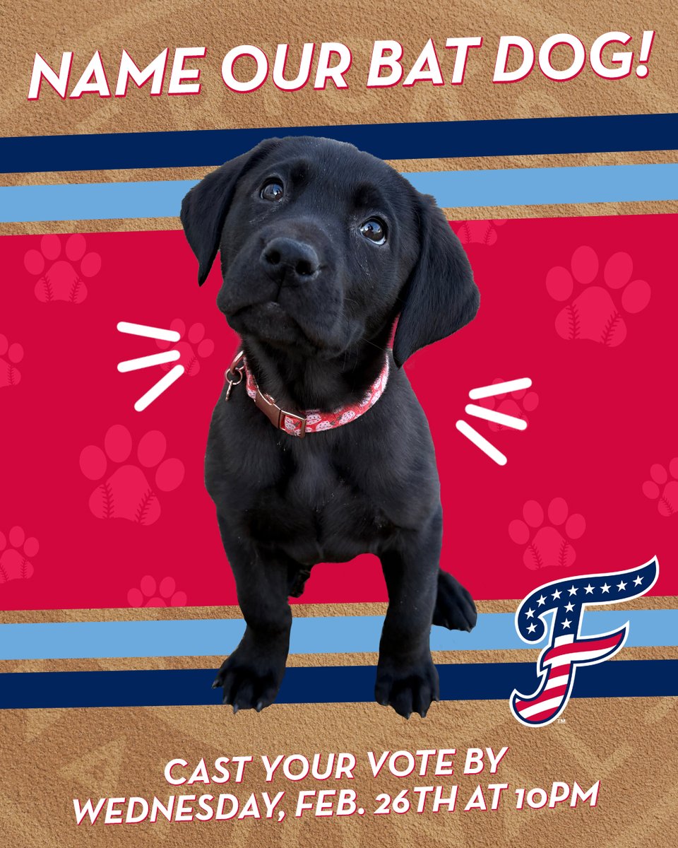 FXBGNats's tweet photo. Surprise! We've added an adorable bat dog to the staff and need your help picking her name! 🥰 🐾

Cast your vote here by next Wednesday at 10pm: https://t.co/nyLW8hwZDr

Pick your favorite name from:
-Rookie
-Dottie
-Nattie
-Diamond https://t.co/NF8eXAbuQ9