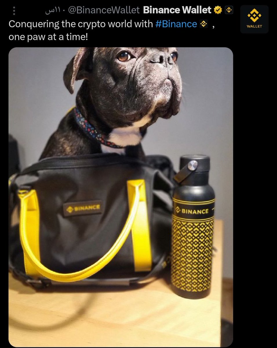 farhadalipour_'s tweet photo. Whales are moving, and $PAWS is making waves! 🌊 Some hints of Binance listing spotted—could this be the next big breakout? 🚀
#PAWS #Crypto #Binance #AltcoinSeason #CryptoTrading #Bullish$Turbo
#memecoin
#memecoins
#aidoge
#Paws
$Paws
$Sol
#Solana
#SOL
#Pupm
$Pepe
$Solana
$Mew https://t.co/eMhFC4Uz2e