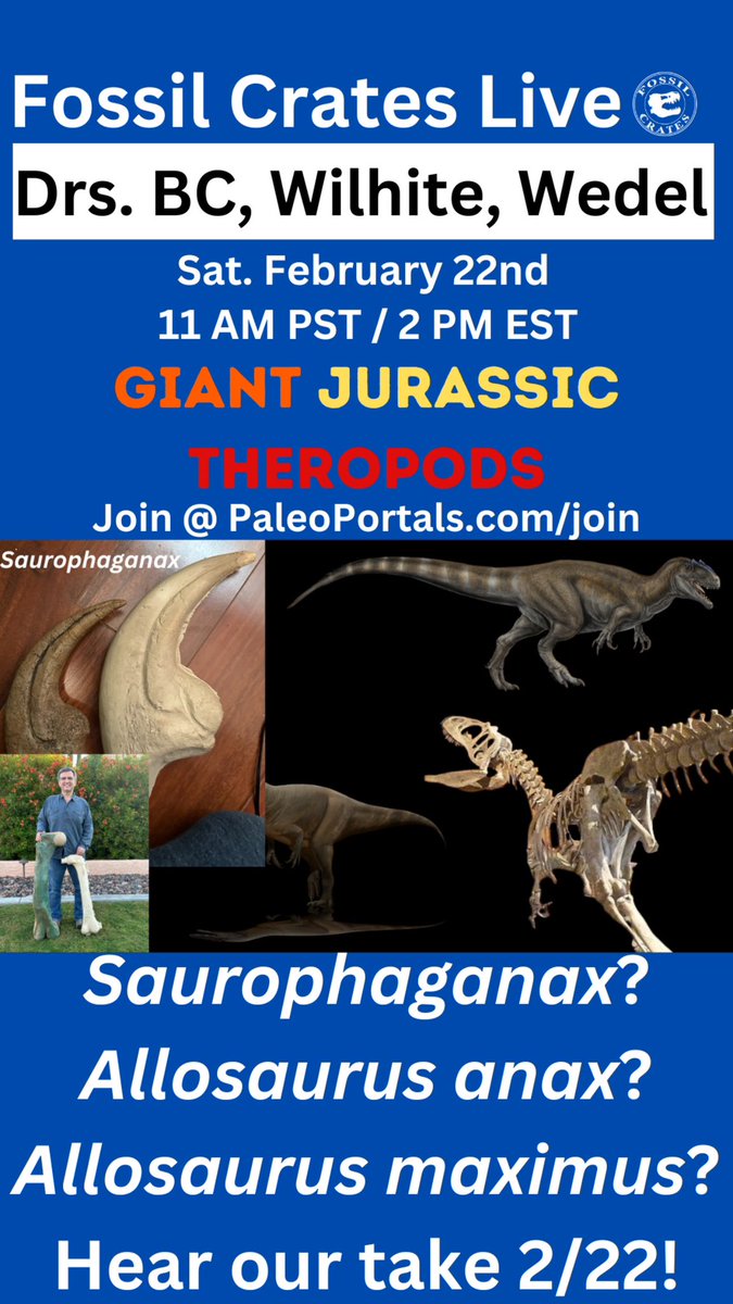 Fossil Crates 🦖🦕 tweet media