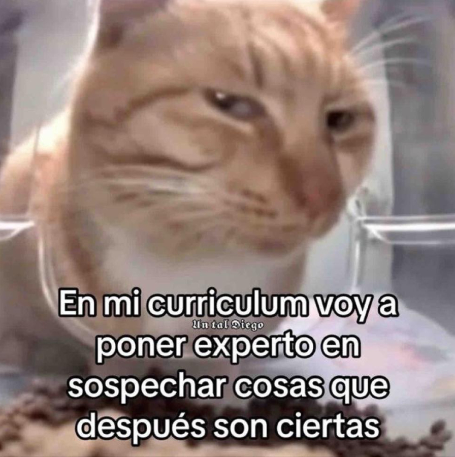 Guarromantico_'s tweet photo. Súper experto. https://t.co/aTeDirY37C