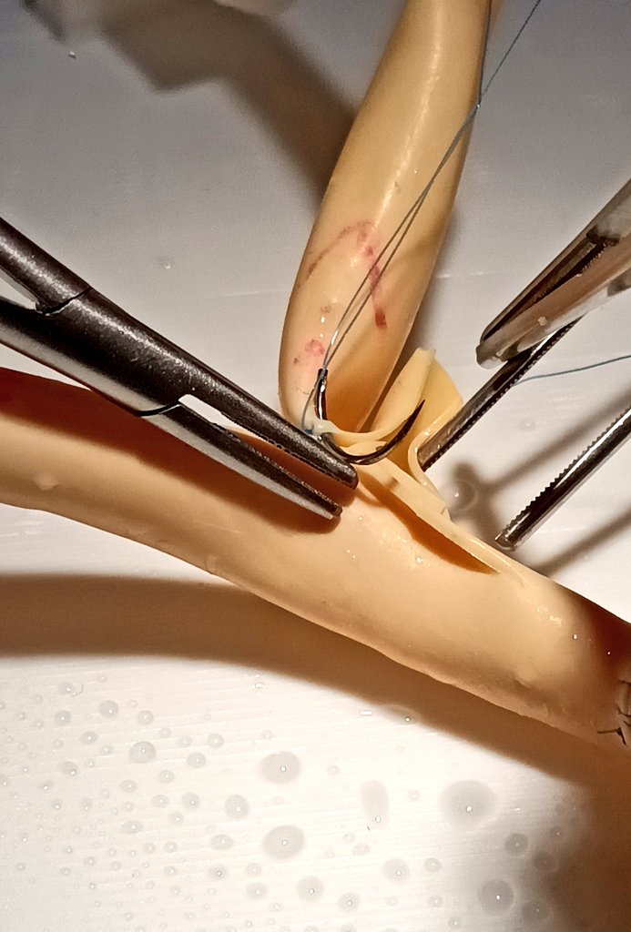 Actividad de tarde en <a href="/CursoTxThiel/">TxThiel26</a> Taller de sutura vascular