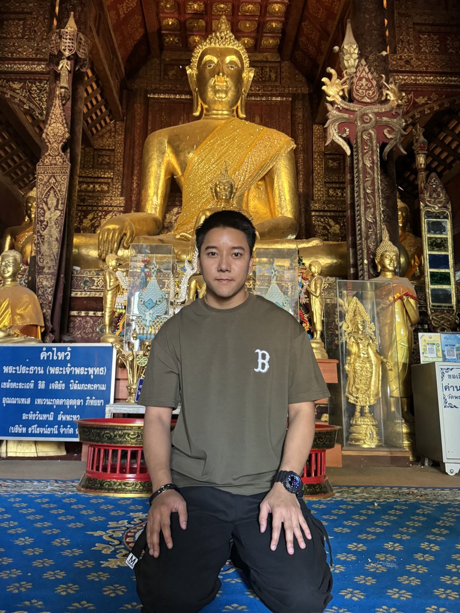 แมว โมโห tweet media