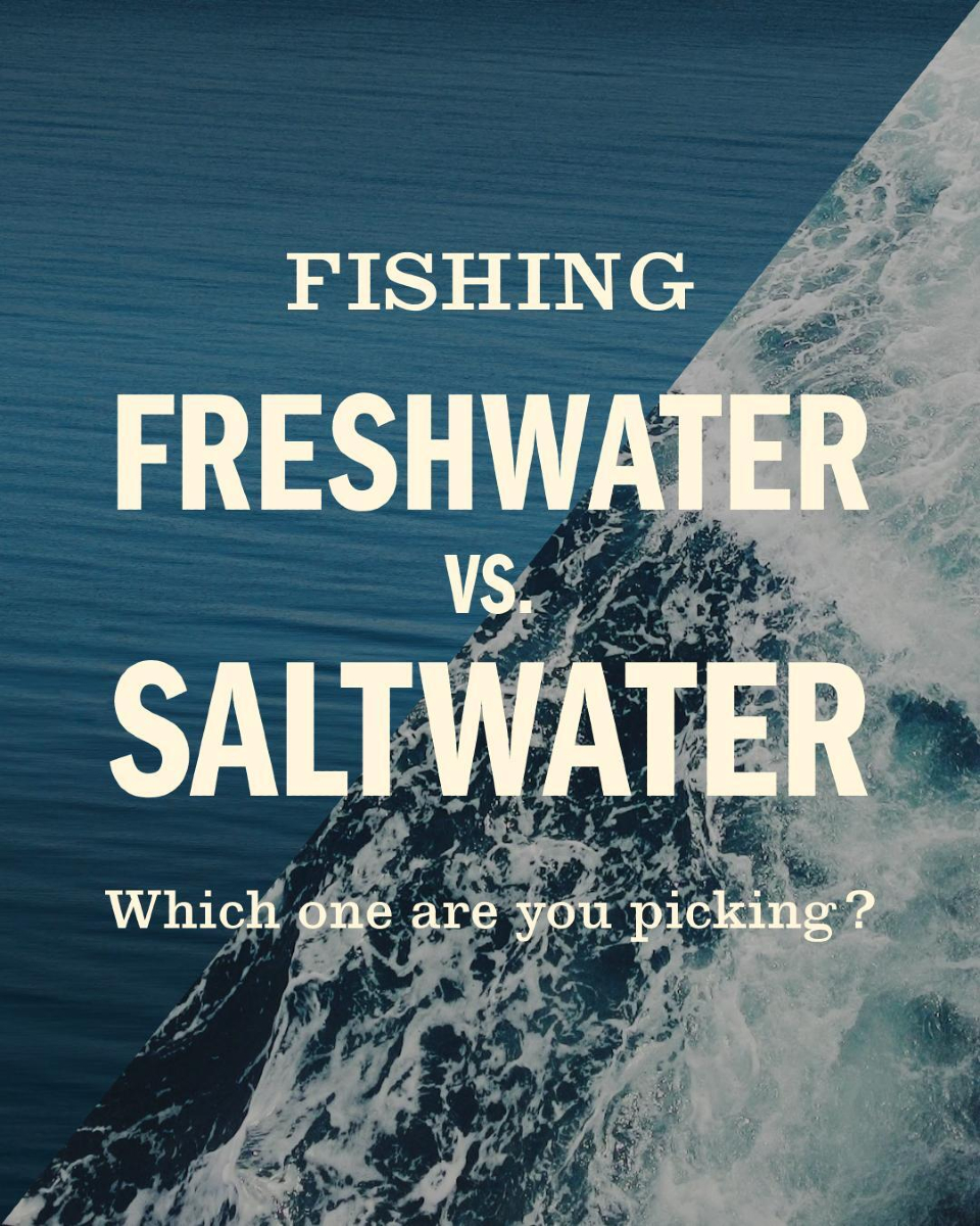 FieldandStream's tweet photo. Freshwater vs. Saltwater—which are you choosing?
#Fishing #FSThrowbackThursday #Outdoors https://t.co/lp5UX960jN