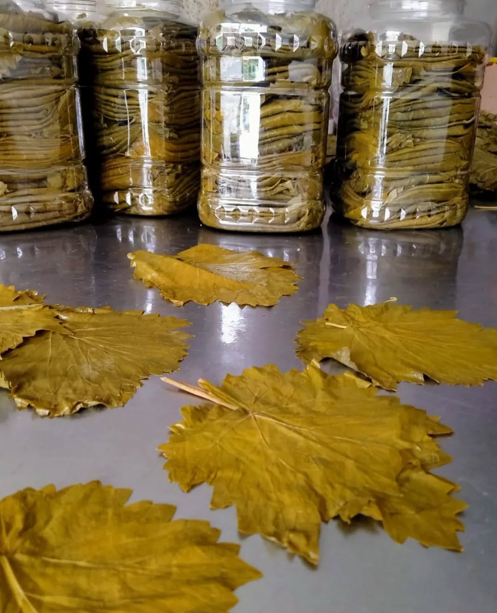 Benim bir hayalim var tek destek olacak sizlersiniz 
Manti ve yaprak sarma severmisiniz?
Ramazan için de buzluga atabilirsiniz 
Siparişlerinizi bekliyorum dm den yada whatsap 05054717767