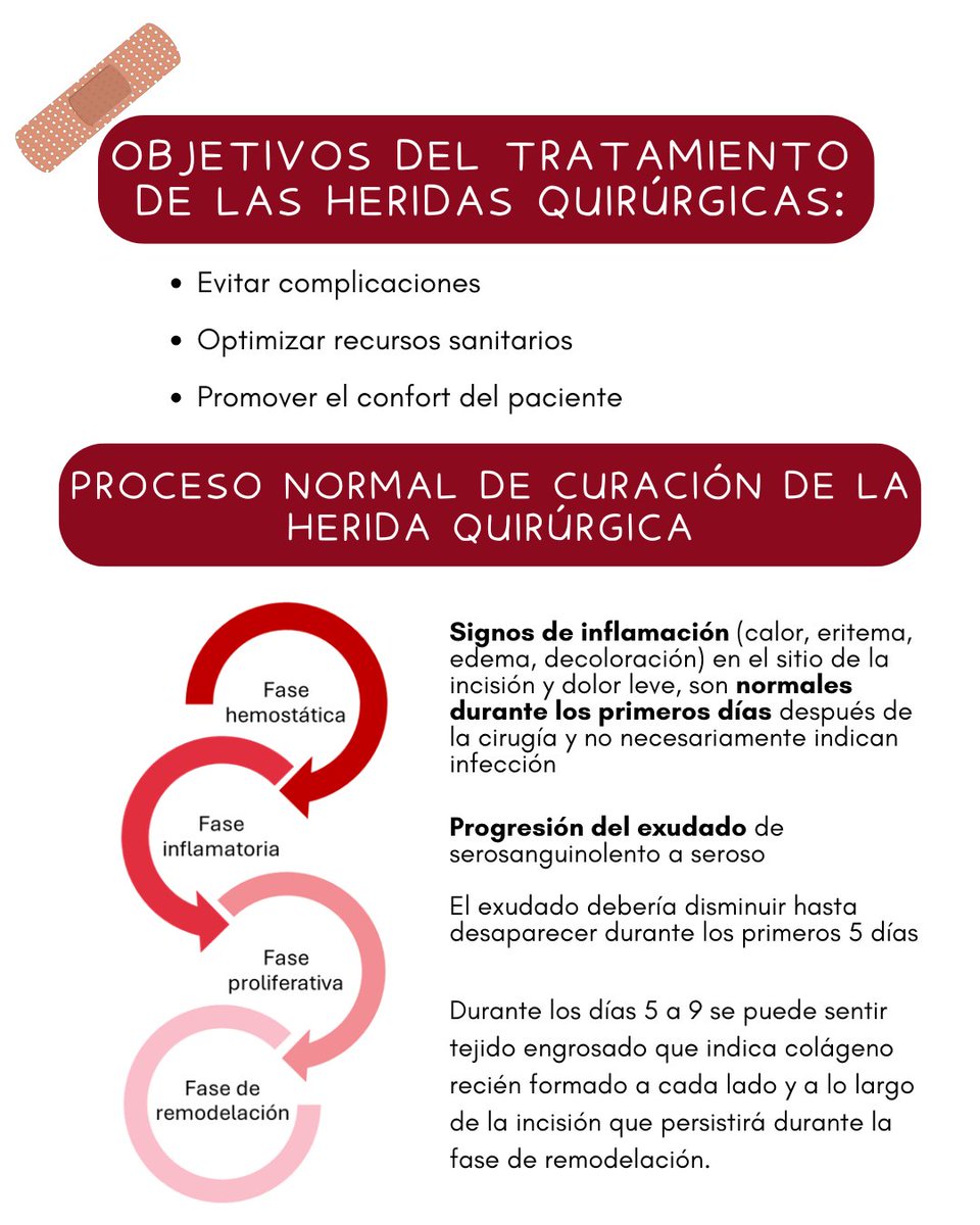 Sociedad Española de Heridas SEHER tweet media