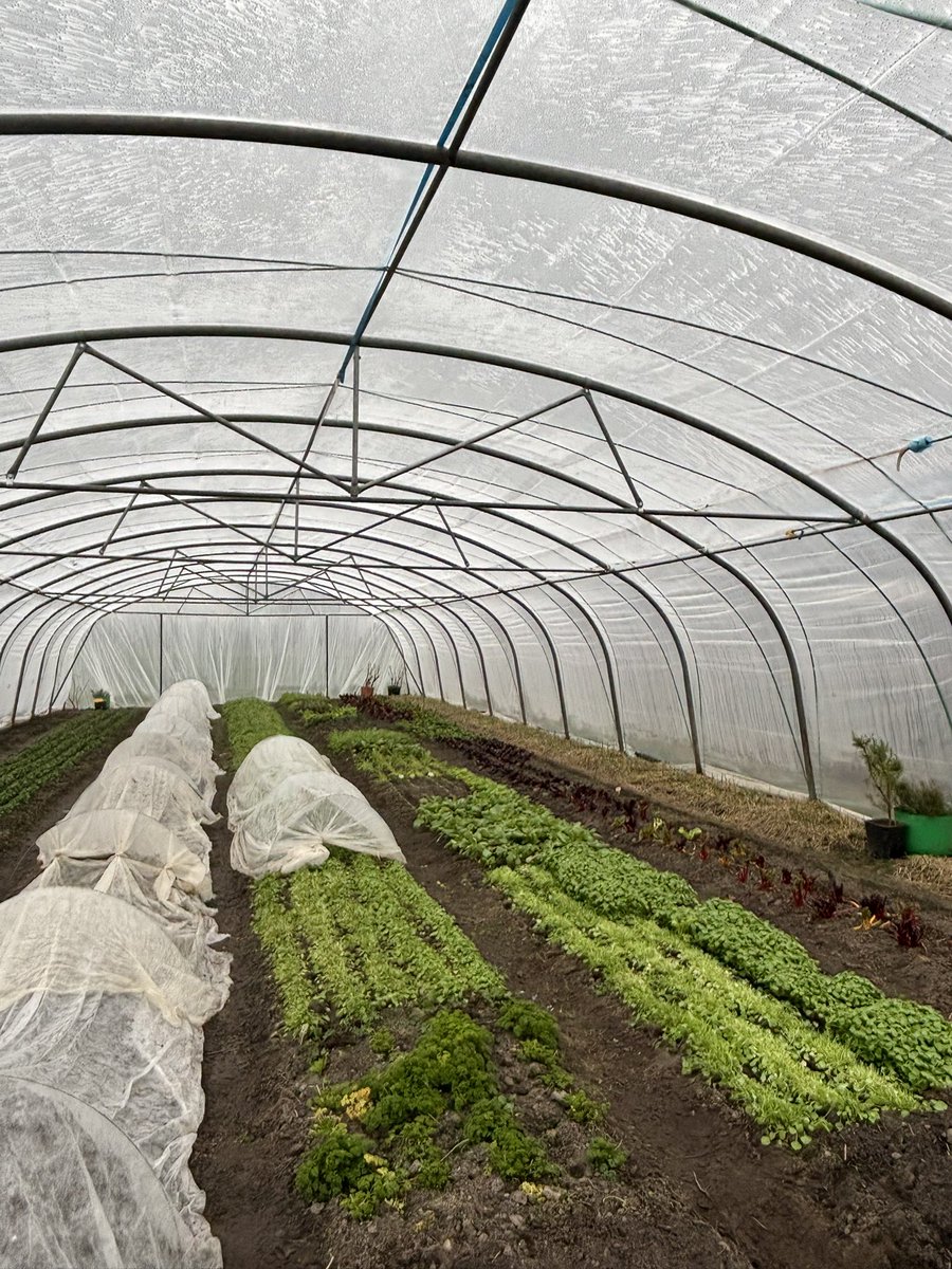 Met de raad van commissarissen van het Groen Ontwikkelfonds #Brabant en gedeputeerde Saskia Boelema op bezoek bij #Vaderland: een plek waar agrarische ontwikkeling, natuurversterking, water en bodem systeem en gezond eten samen komen. Inspiratie voor het oprapen!