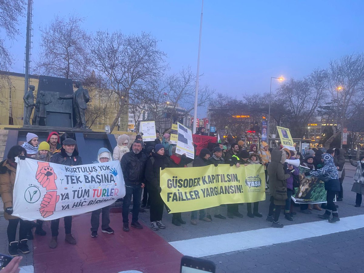 CHP İstanbul Hayvan Hakları Komitesi tweet media