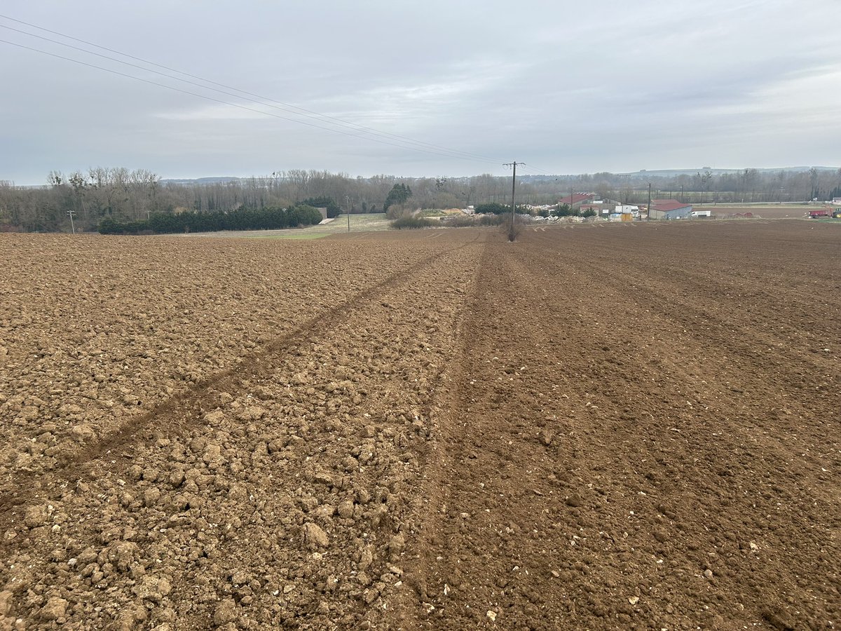 L’orge n’a plus qu’à pousser et offrir une belle récolte 🌾