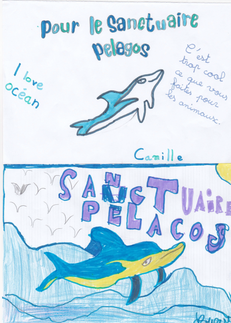 Pelagos Agreement tweet media