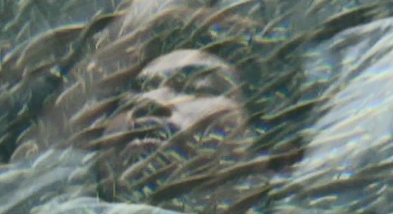 Pedro Emilio tweet media