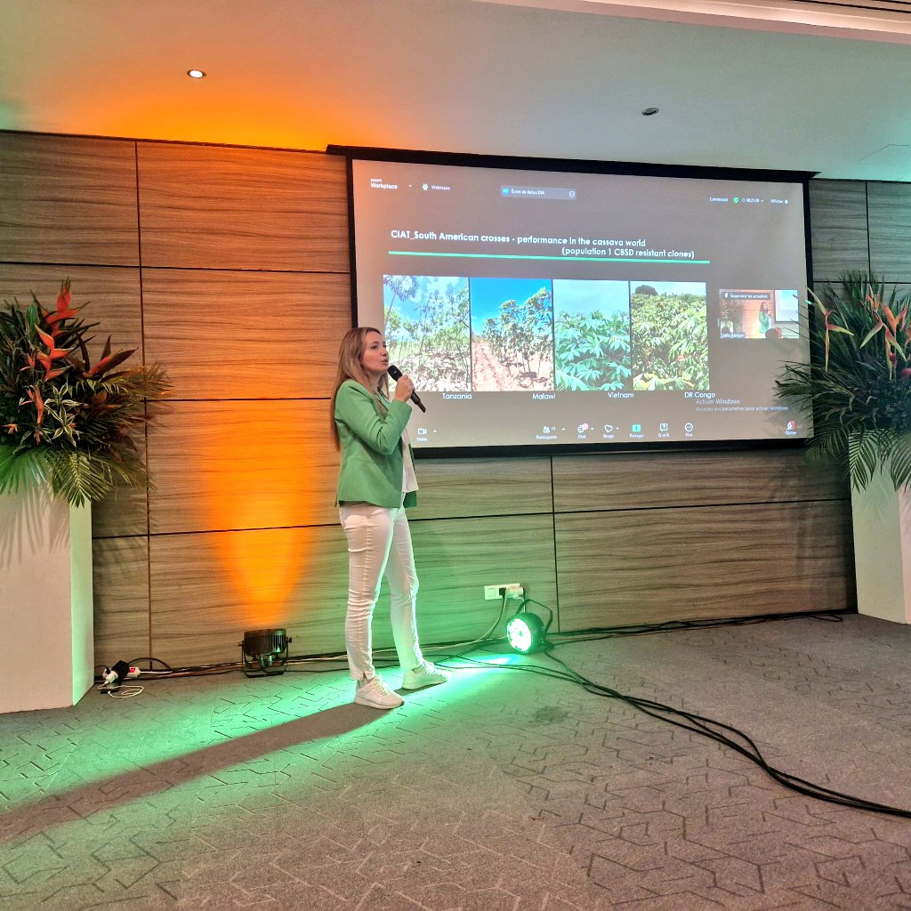 Samar Sheat, Ph.D.🌿 (@samarsheat) on Twitter photo Honored to contribute to #ISTRC 2025 in #Abidjan and engage with the incredible #Cassava #research community.Inspiring discussions on #cassava #diseases Worldwide
A big thanks to everyone hor shared passion. Lots of love to the cassava family! #CassavaScience
<a href="/Leibniz_DSMZ_en/">Leibniz-Institut DSMZ</a> Honored to contribute to #ISTRC 2025 in #Abidjan and engage with the incredible #Cassava #research community.Inspiring discussions on #cassava #diseases Worldwide
A big thanks to everyone hor shared passion. Lots of love to the cassava family! #CassavaScience
<a href="/Leibniz_DSMZ_en/">Leibniz-Institut DSMZ</a>