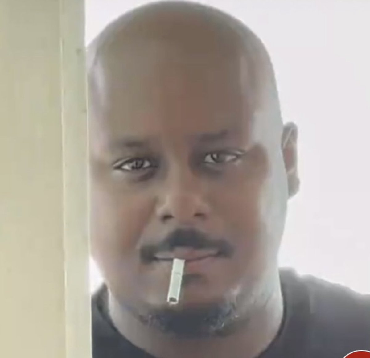 iamcardib's tweet image. 