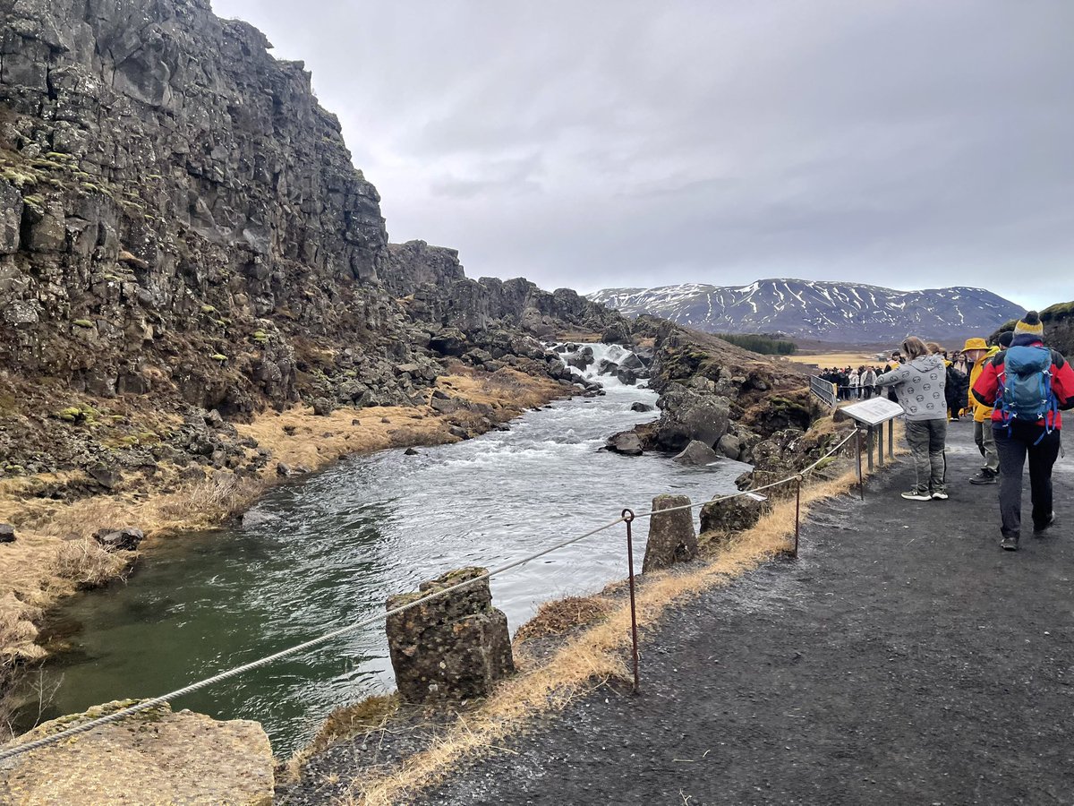 Hele’s Iceland tweet media