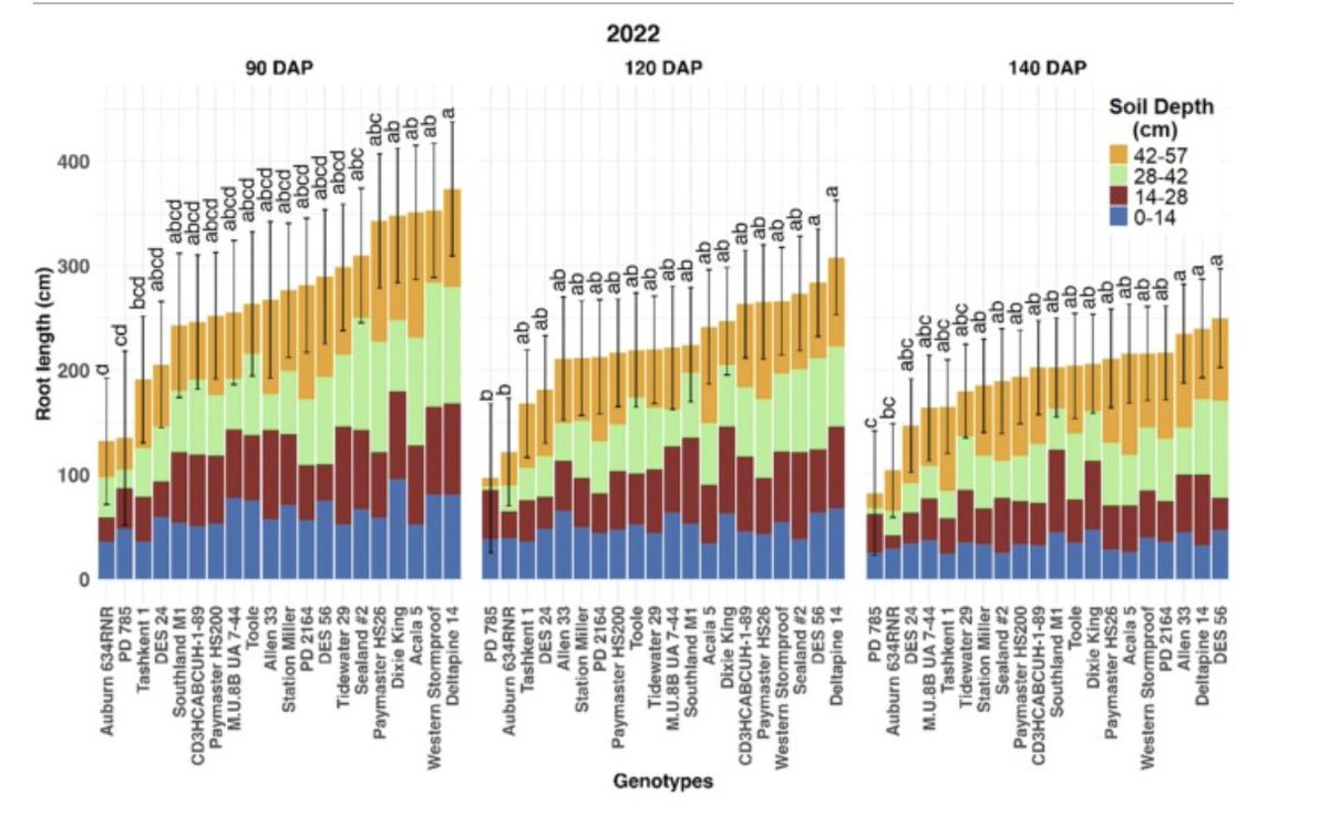baizalla's tweet photo. A new publication on root imaging and phenotyping, linking below-ground root dynamics and above-ground traits, "Better root length distribution in the deep soil profile enhances upland cotton performance" #roottraits #rootimaging #rootphenotyping #fineroots @RootBiologyNews @AbioticStress
https://t.co/AGK4Ed2Pyh