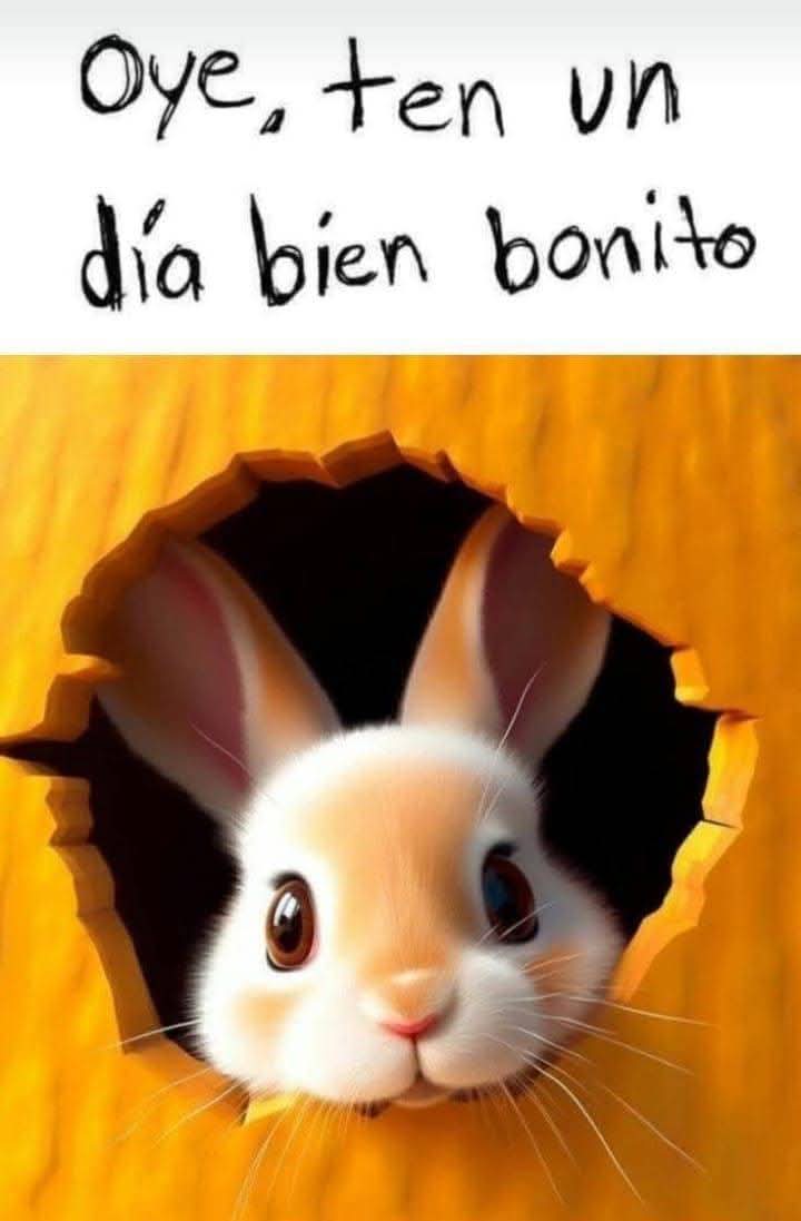 Ricardo246661's tweet image. #20Febrero