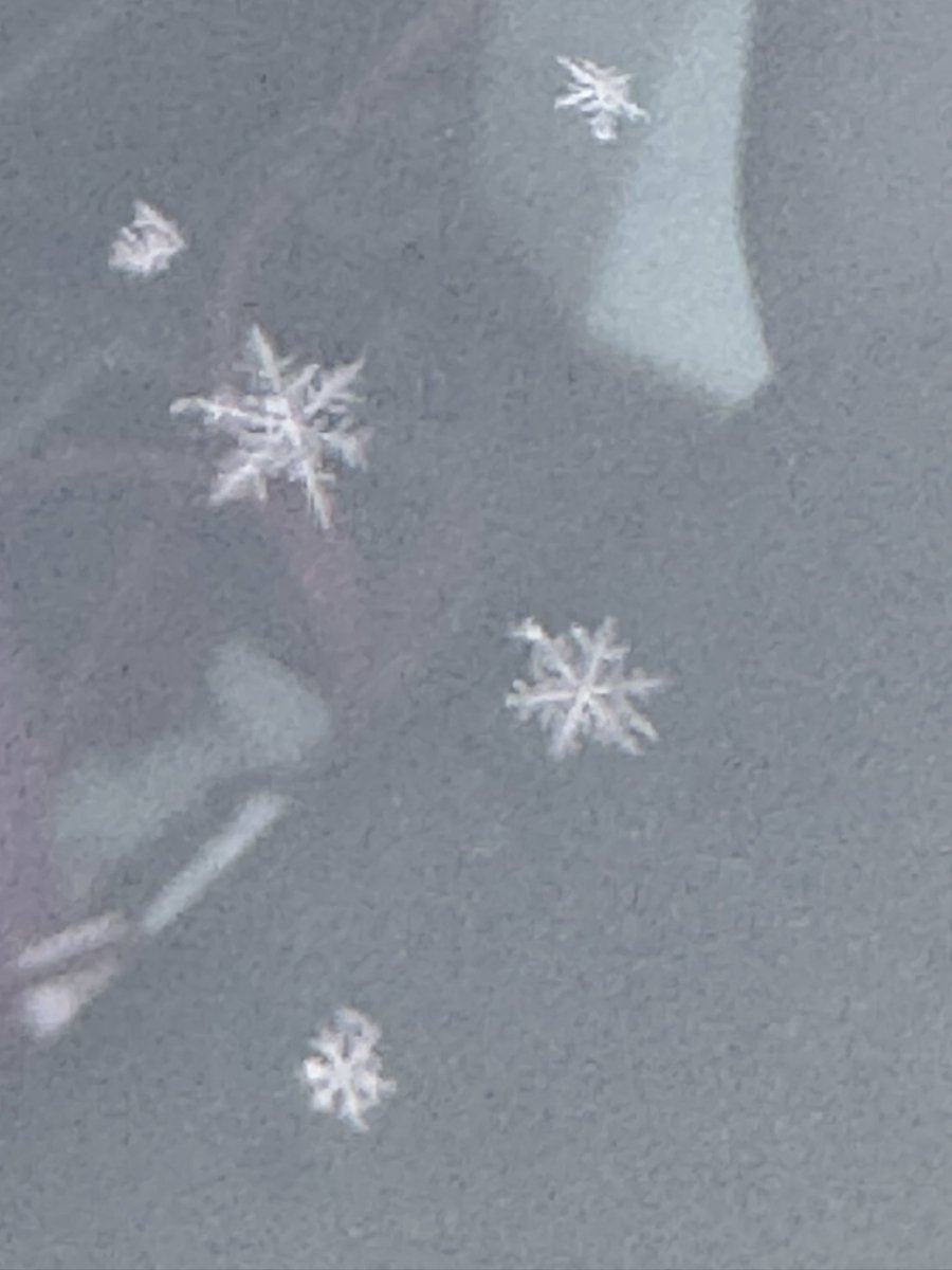 YOUNGTY's tweet image. The joy of a child.  Snowing here in Trussville this morning and our SG was in love with it with just the few snow showers.  @weswyattweather @LaurenLinahan @mattdanielwx @WBRCnews @WBRCweather @MikeDubberlyGDA @toniatalkss @megtomwx