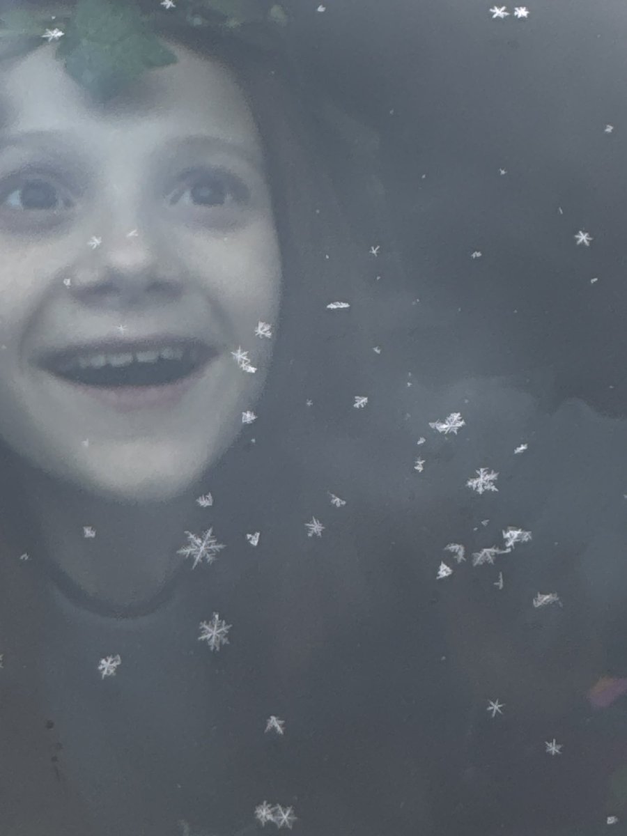 YOUNGTY's tweet image. The joy of a child.  Snowing here in Trussville this morning and our SG was in love with it with just the few snow showers.  @weswyattweather @LaurenLinahan @mattdanielwx @WBRCnews @WBRCweather @MikeDubberlyGDA @toniatalkss @megtomwx