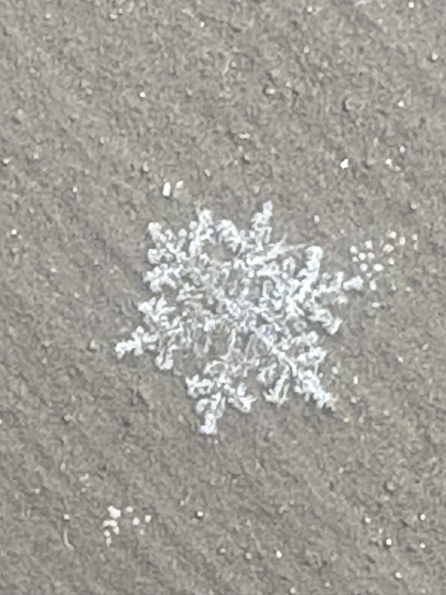 It looks like every weather geek in North Metro had the same idea I did this morning and rushed to mPING when they saw a snowflake. 🤣 <a href="/BradNitzWSB/">Brad Nitz</a> <a href="/ChristinaWSBwx/">Christina Edwards</a> #gawx