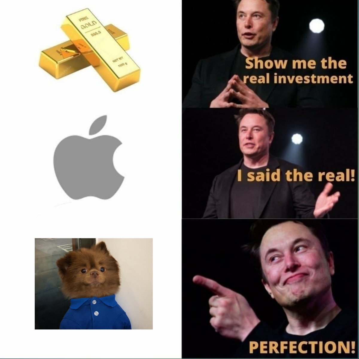Snow_Flamez100's tweet photo. @bertcoincto My entry ser @bertcoincto 

$BERT  #BertMEME https://t.co/UkjEXEBjzk