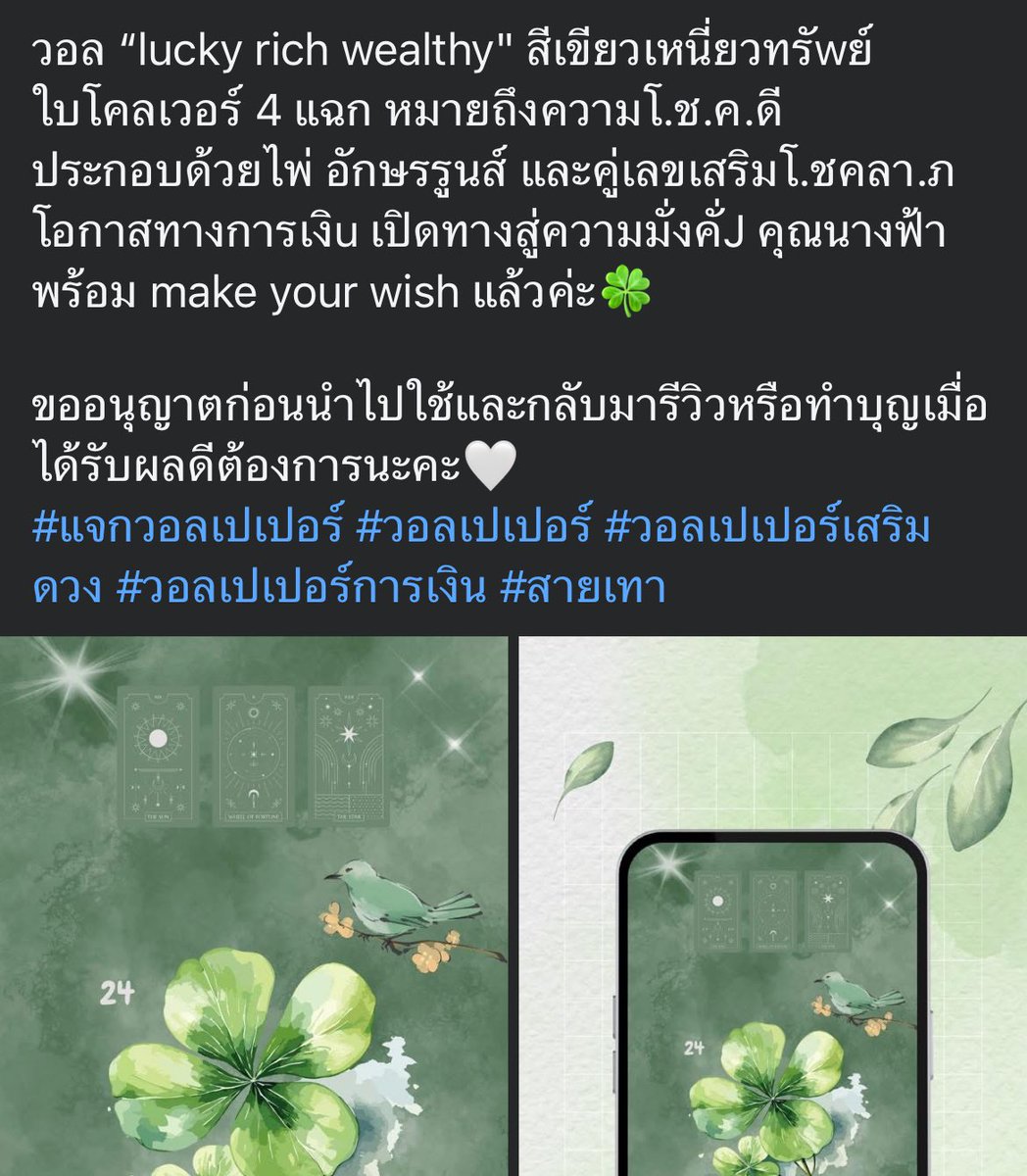 ♔ น้องหมอจังเองจ้า🍀456 tweet media