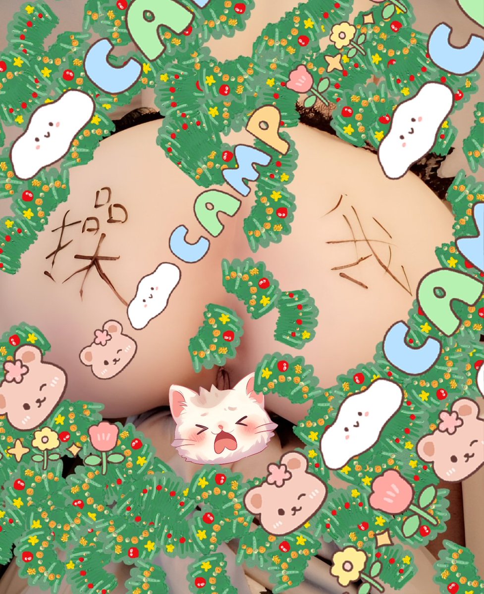 猫小小 tweet media