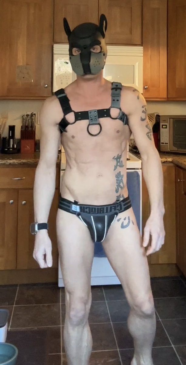 JRinSeattle04's tweet photo. Just a puppers home alone https://t.co/DN6Ox9aliT