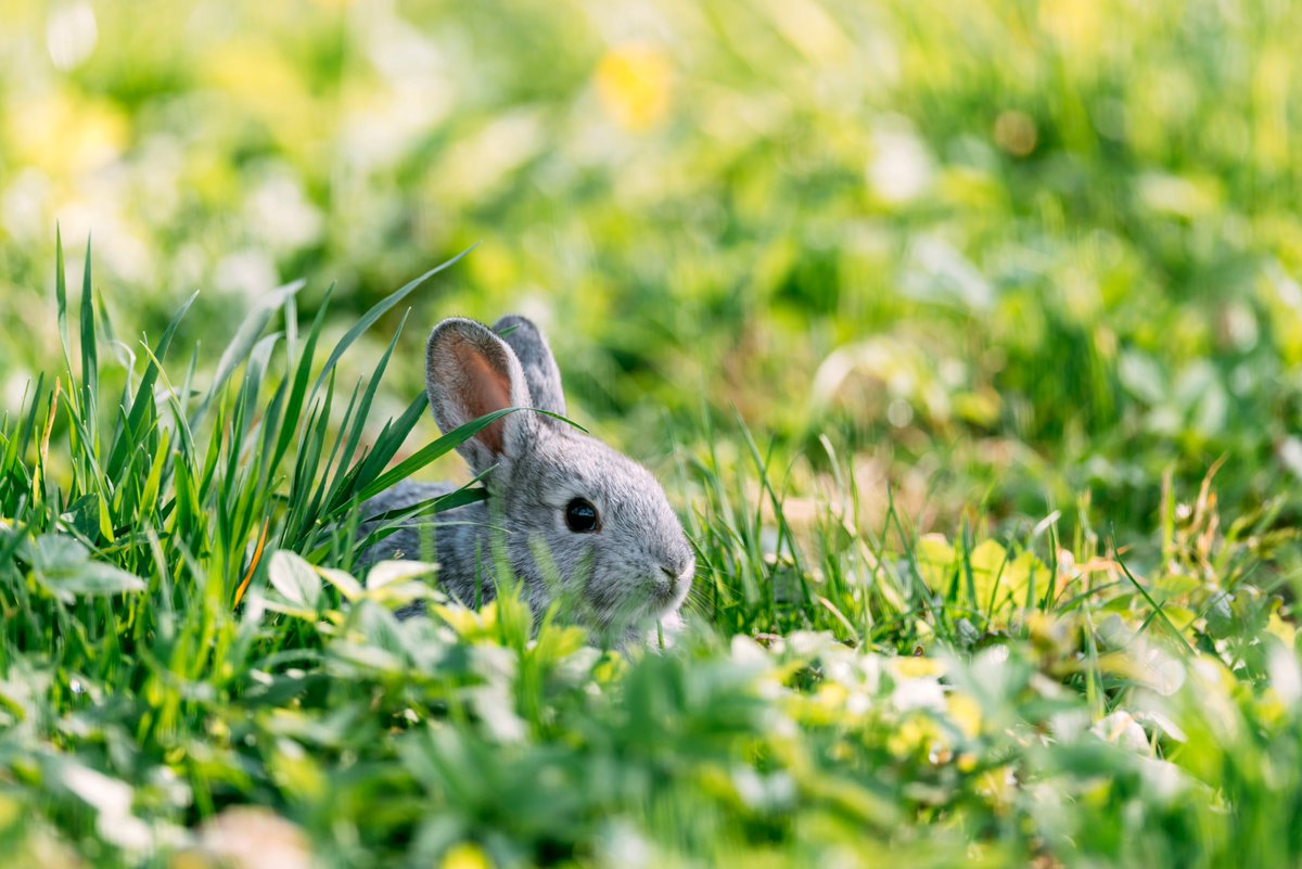 Looking for fresh feature ideas for March? The ResponseSource Journalist Enquiry Service can help with that - here is an overview of the timely topics you could cover, from #WildlifeDay, #InternationalWomensDay, to #WorldSleepDay.
➡️tinyurl.com/ys3ep72j