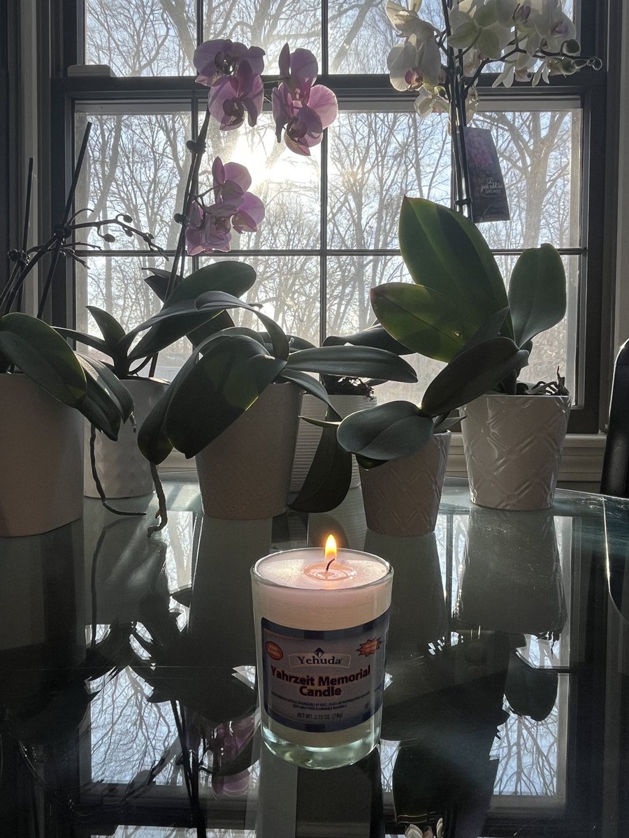 Today we mourn. For those who celebrate, and who could have intervened but didn’t—western leaders, the Red Cross and other NGOs, the media, administrators, influencers—may you rot in hell. #Bibas