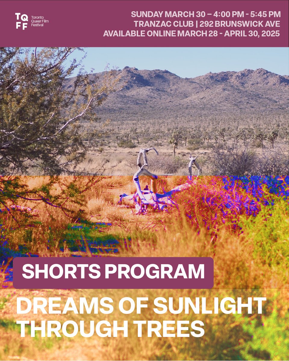 We just announced the #TQFF2025 short film program!!
⁠
Dreams of Sunlight Through Trees 🌳✨⁠
⁠
Click here to learn more about the shorts featured in this program👇🏽:
l8r.it/kjj7
⁠
Tickets are now available at l8r.it/gT7L