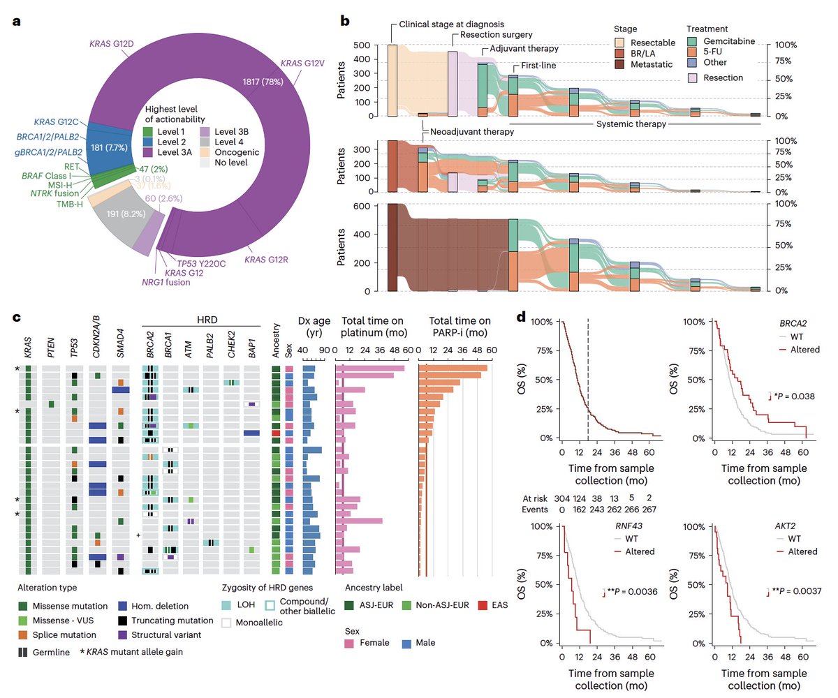 Arndt Vogel (@arndtvogel) on Twitter photo Clinicogenomic landscape of #PDAC identifies KRAS mutant dosage as prognostic of overall survival
<a href="/NatureMedicine/">Nature Medicine</a>
doi.org/10.1038/s41591…
👉Very comprehensive analysis on the impact of KRAS
👉Key for understanding de novo and acquired resistance to RAS 💊
<a href="/myESMO/">ESMO - Eur. Oncology</a> Clinicogenomic landscape of #PDAC identifies KRAS mutant dosage as prognostic of overall survival
<a href="/NatureMedicine/">Nature Medicine</a>
doi.org/10.1038/s41591…
👉Very comprehensive analysis on the impact of KRAS
👉Key for understanding de novo and acquired resistance to RAS 💊
<a href="/myESMO/">ESMO - Eur. Oncology</a>