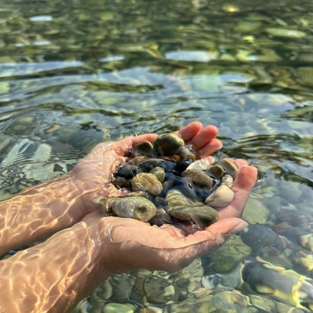 DiscHealing's tweet image. “We often forget that WE ARE NATURE. Nature is not something separate from us. So when we say that we have lost our connection to nature, we’ve lost our connection to ourselves.”
― Andy Goldsworthy
#onewithnature #discoverhealing #grounding #theemotioncode #energy #selflove