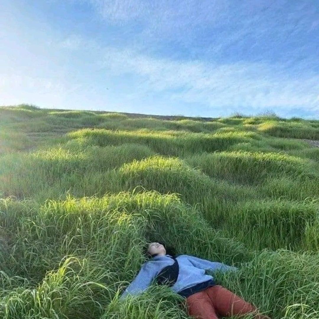 DiscHealing's tweet image. “We often forget that WE ARE NATURE. Nature is not something separate from us. So when we say that we have lost our connection to nature, we’ve lost our connection to ourselves.”
― Andy Goldsworthy
#onewithnature #discoverhealing #grounding #theemotioncode #energy #selflove