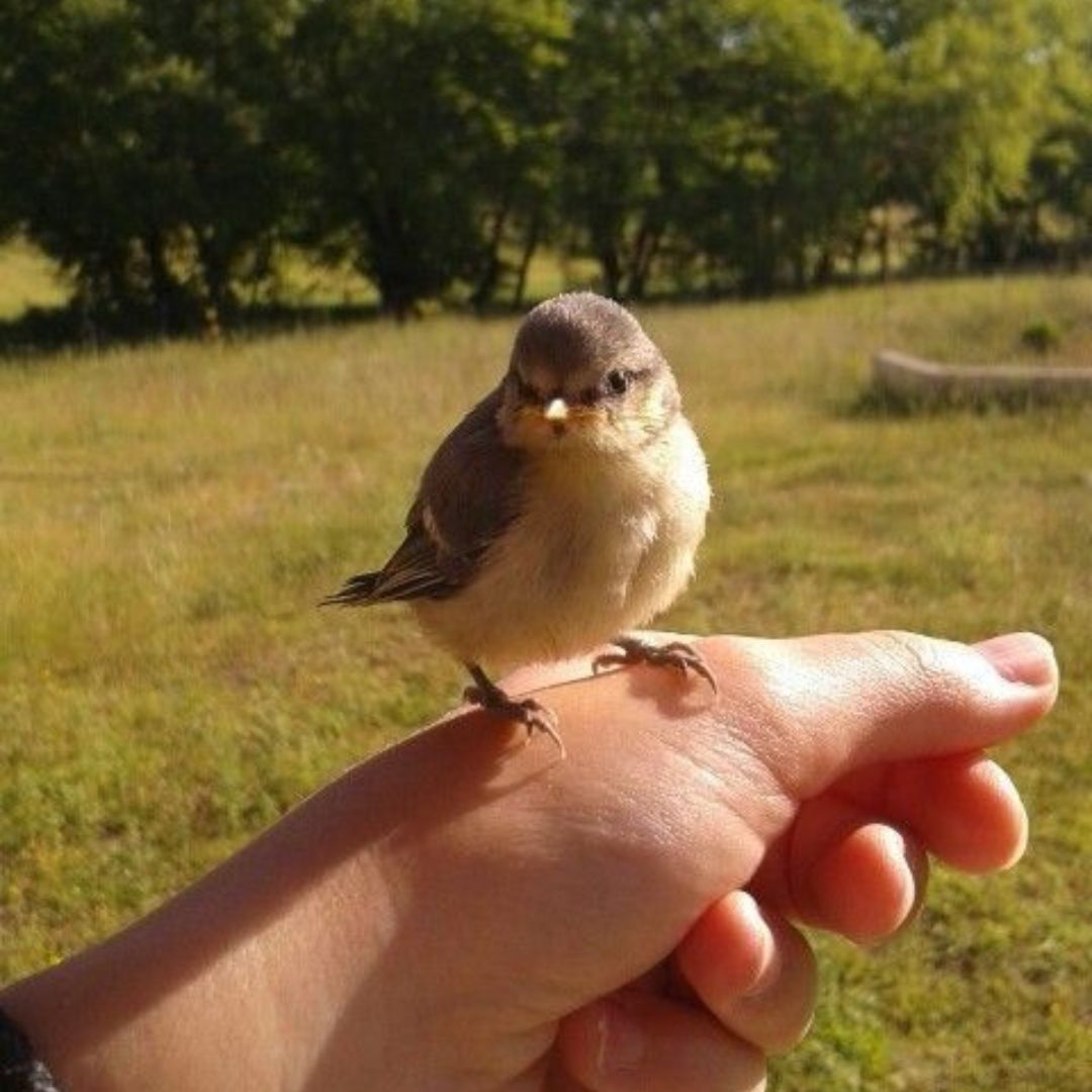 DiscHealing's tweet image. “We often forget that WE ARE NATURE. Nature is not something separate from us. So when we say that we have lost our connection to nature, we’ve lost our connection to ourselves.”
― Andy Goldsworthy
#onewithnature #discoverhealing #grounding #theemotioncode #energy #selflove