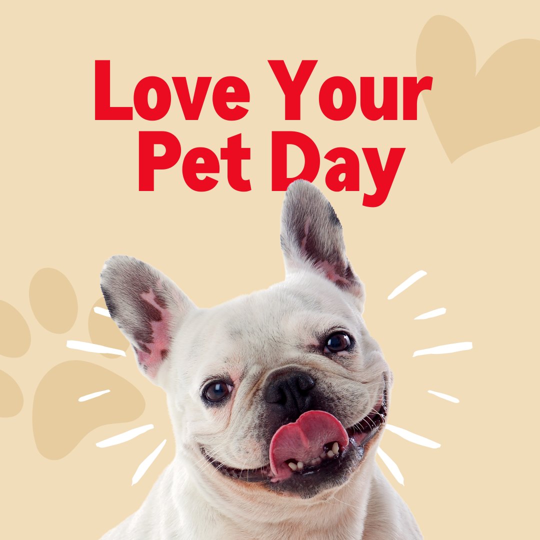We hope your day is full of pet hair on your clothes and paw prints on your heart! Give your babies some extra love in honor of Love Your Pet Day and get them covered with pet insurance through State Farm.