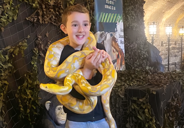 Hanner Tymor: Antur â’r Anifeiliaid 🐍🦜
Ydych chi’n barod am antur wirioneddol wyllt? Dewch i Gastell #Caerdydd yr #hannertymor hwn i gael cyfarfod cyffrous, ymarferol â rhai aelodau egsotig o deyrnas yr anifeiliaid.

Tocynnau ar gael i'w harchebu nawr..
castell-caerdydd.com/events/
