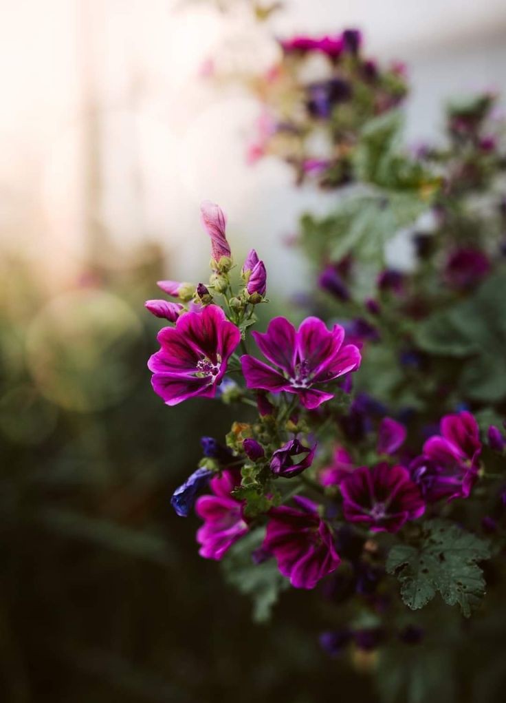 Have A Beautiful Night