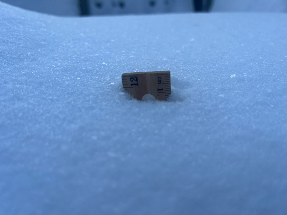 psubuzz's tweet photo. @JunksRadio These pics are for Bish$. First double digit snow we’ve had in decades in VAB. https://t.co/QeUwgqQPIF