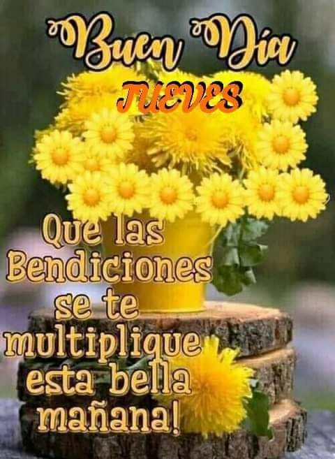 roccimora's tweet image. Buenos días 
#FelizJueves
#20Febrero

Excelente día 😊